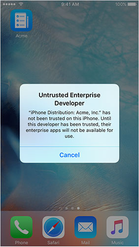 untrusted enterprise developer notification